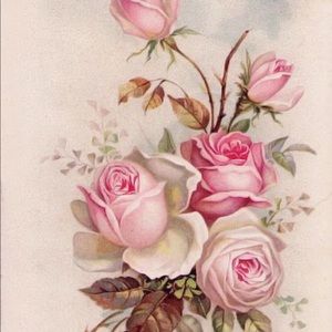 Meet your Posher, Wanda